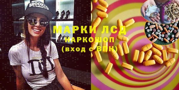 apvp Бородино